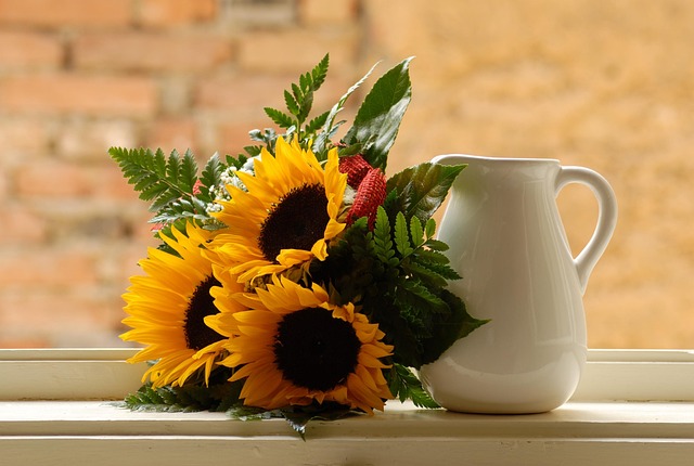 Squirrel-Proof Your Sunflower Hearts: Cardiff's Best, Durably Protected!