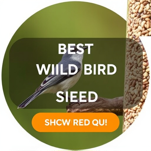 Best Wild Bird Seed Delivered UK