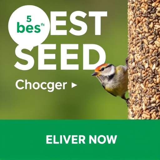 Best Wild Bird Seed Delivered UK