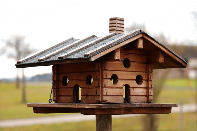 Save Big on Top-Quality Peanuts: Free Shipping for Leeds Bird Feeders