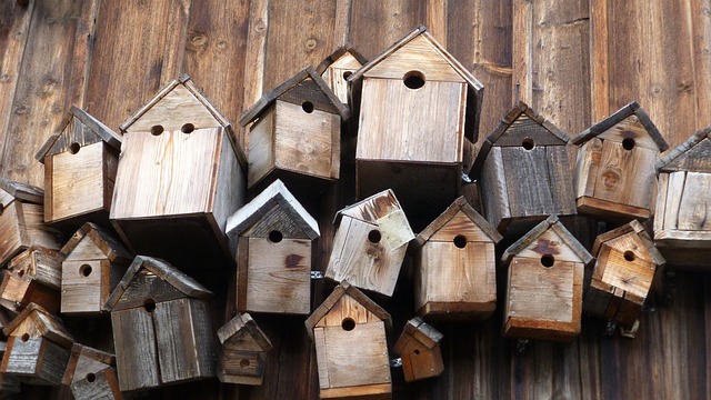 bird feeder