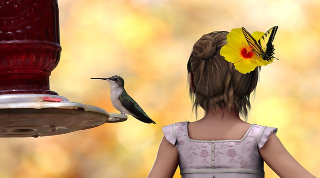 bird feeder