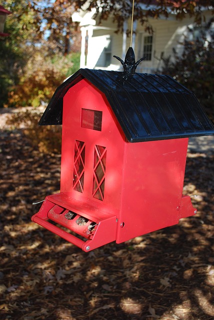 bird feeder