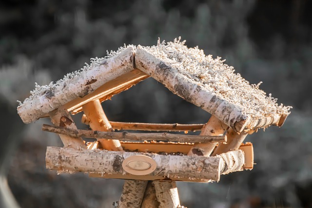 bird feeder