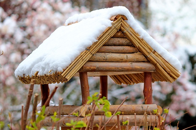 bird feeder