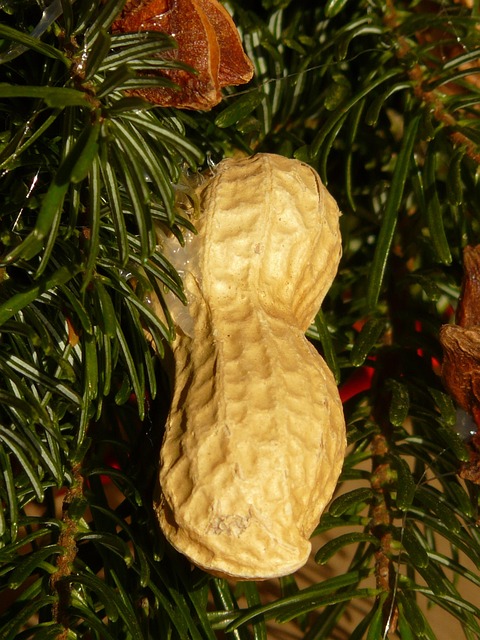 peanuts