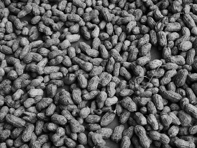 peanuts