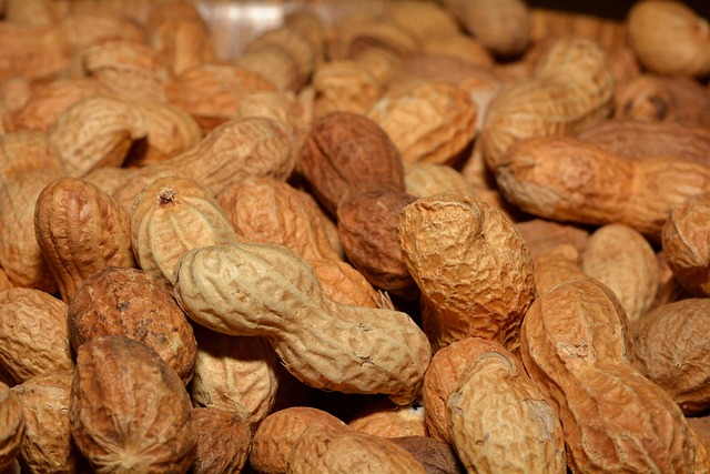 peanuts-640x480-48915799.jpeg