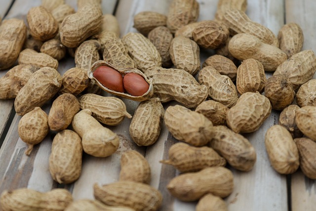 peanuts-640x480-61786563.jpeg