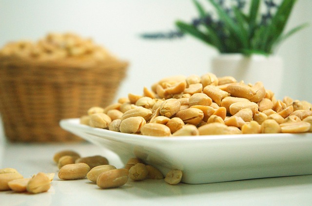 Attract More Birds & Save in Leicester: Free Peanuts with Our Top Feeder