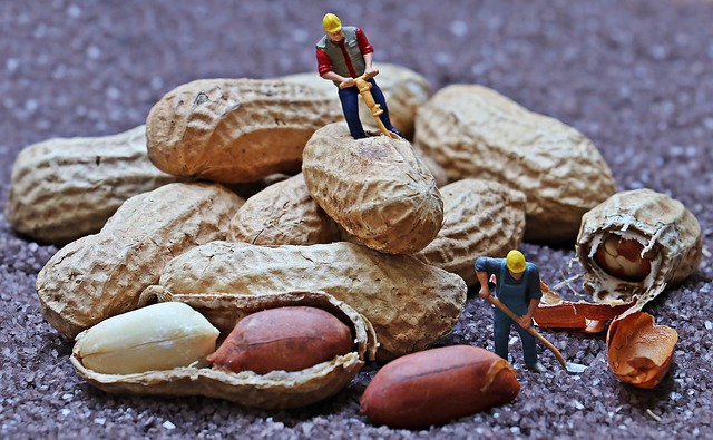 peanuts