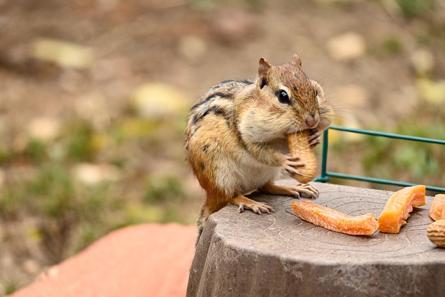 peanuts