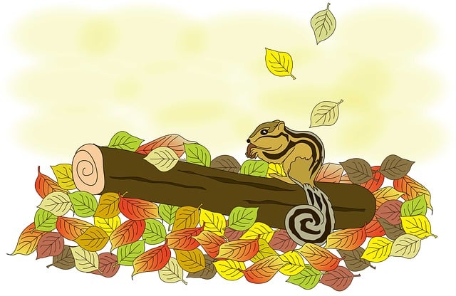 Squirrel-Proof Your Feeder: Top Sunflower Hearts, Free London Delivery!