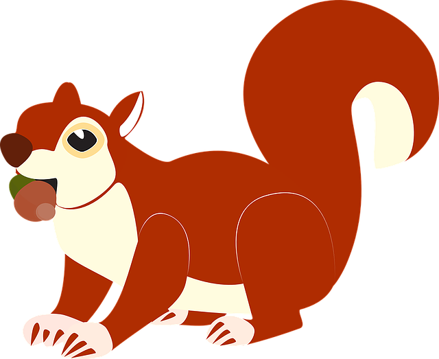 squirrel