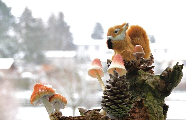 Squirrel Proof Bird Feeders Leeds: Save Money, Enjoy Peace of Mind – Free Your Yard Today!