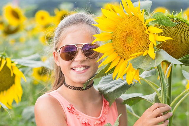 sunflower
