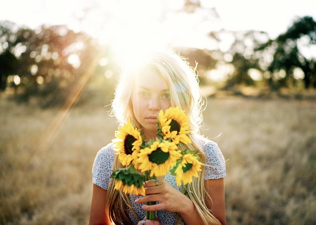 sunflower
