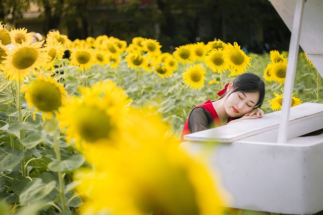 London’s Top Sunflower Seed Wholesaler: Free Delivery, Unbeatable Prices!