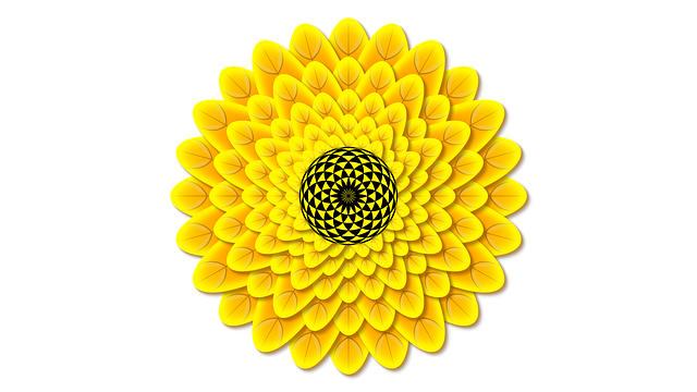 London’s Top Sunflower Seeds: Bulk Deals, Free Delivery – Feed Your Feathered Friends!