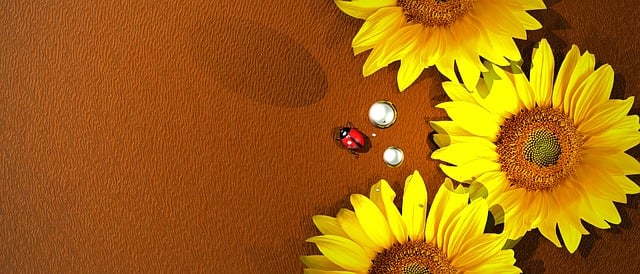 sunflower-640x480-72096086.jpeg