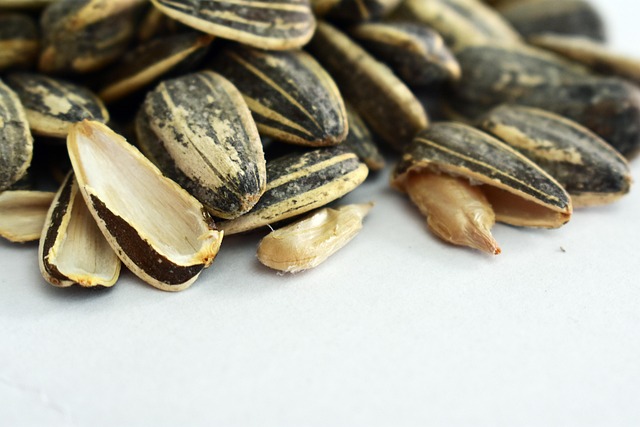 Save Money, Feed Birds: Top Quality Sunflower Hearts 25kg in Liverpool – Free Delivery!
