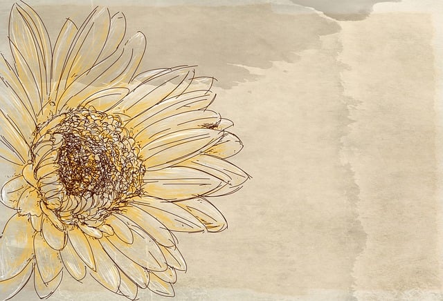 Bradford’s Top Deal: Bulk Sunflower Seeds, Free Shipping, Save Big!