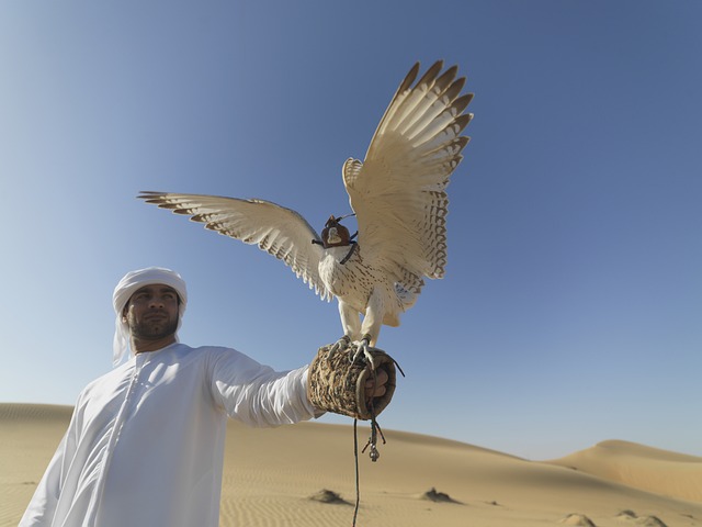 Wild Bird