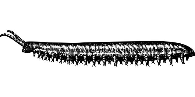worms-640x480-23430088.png