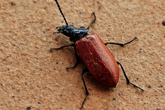 Attract Birds, Deter Squirrels, Save Money: Cardiff’s Best Guardian Feeder Deal
