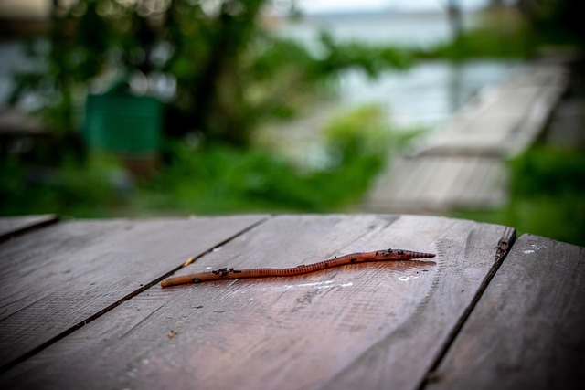 worms