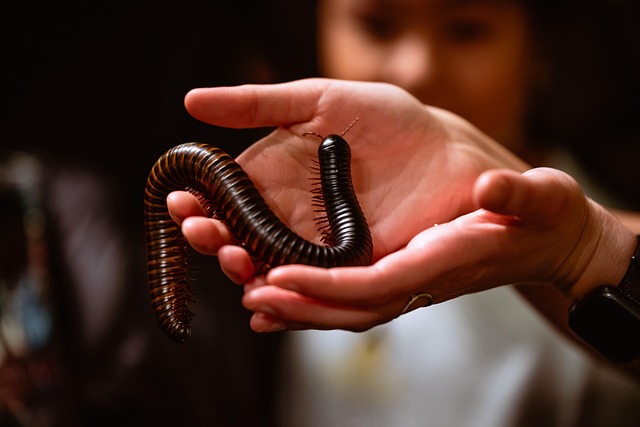 worms