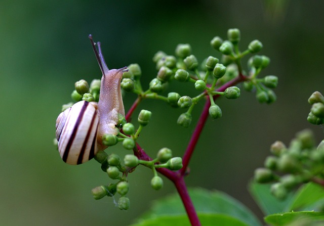 worms-640x480-75624651.jpeg