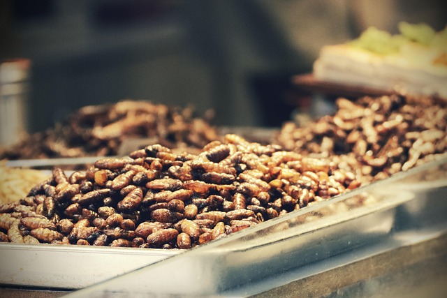 Sheffield’s Top-Rated Sunflower Hearts: Save Money, Feed Birds Affordably!
