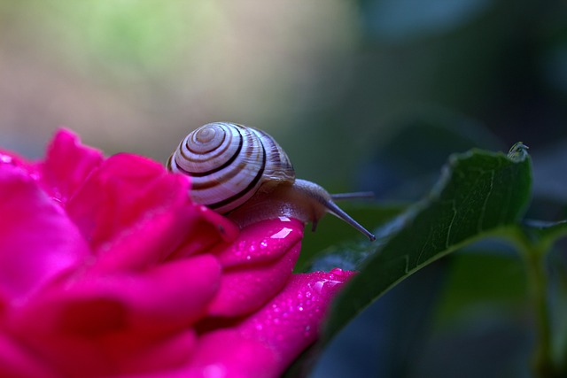 worms-640x480-82540843.jpeg