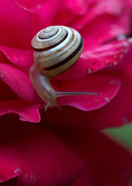 worms-640x480-83158385.jpeg