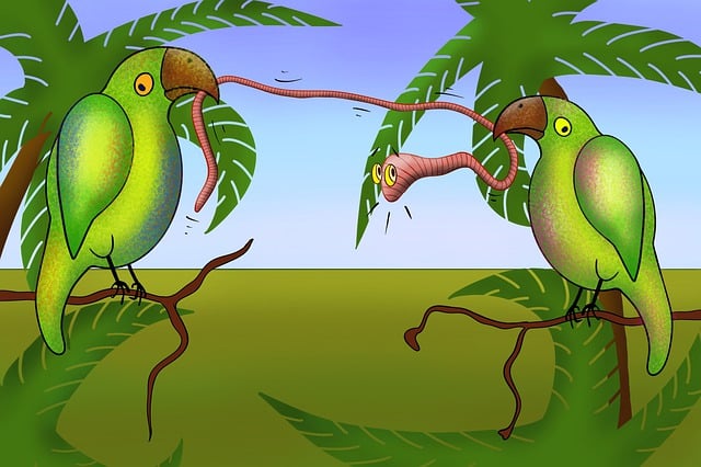 worms