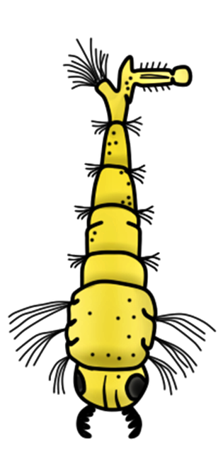 worms