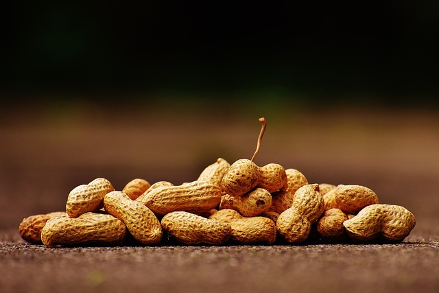 Transform Your Feedings: Easy-Clean, Squirrel-Free Peanuts for Birds in Liverpool