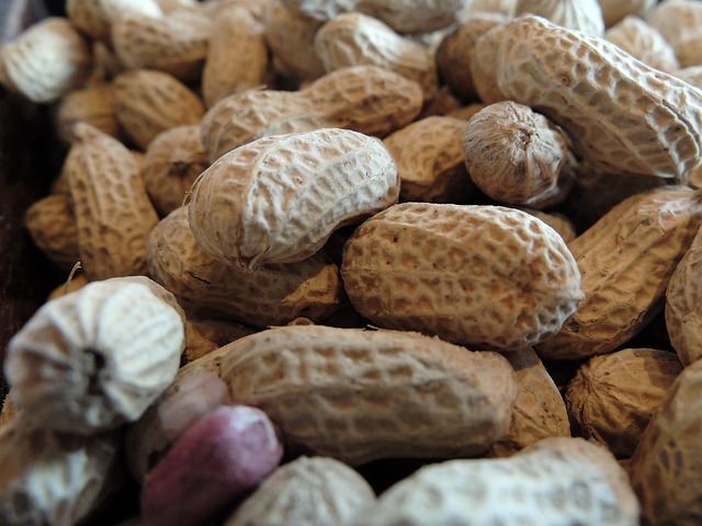 Natural Peanuts for Birds Sheffield: Save Money, Feed Them Better!