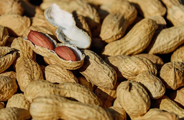 peanuts-640x480-78498316.jpeg