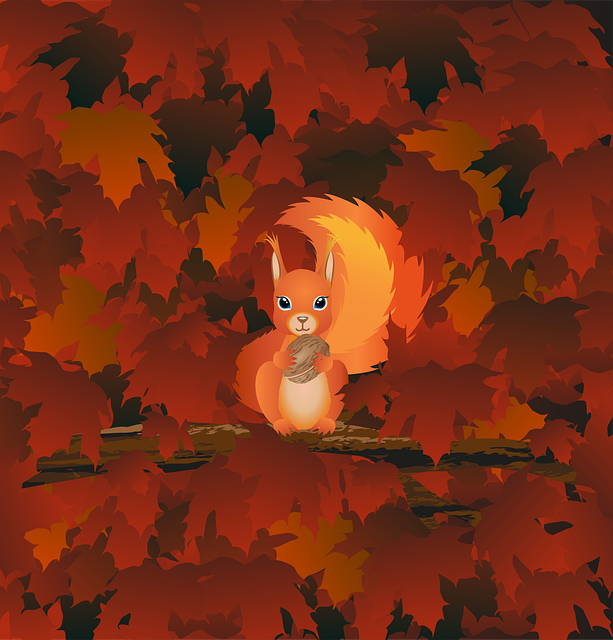 squirrel