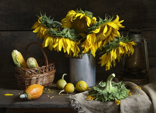 sunflower