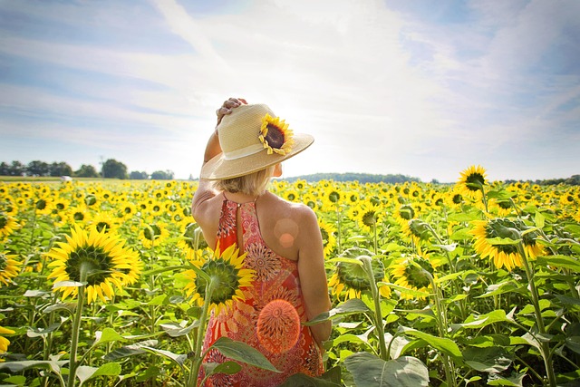 sunflower