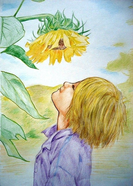 sunflower-640x480-79830968.jpeg