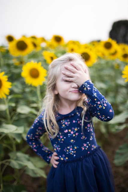 Sheffield's Cheapest: Save Big with 25kg Sunflower Hearts for Birds!