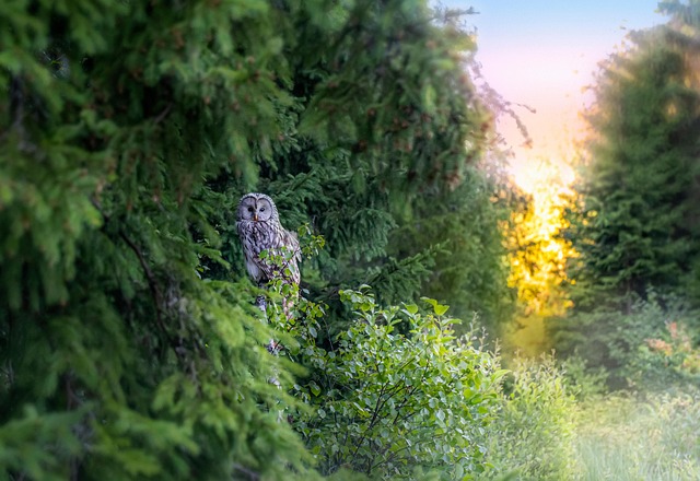 Bulk Wild Bird Seed Cardiff: Save 20% &amp; Get Free Delivery Now!