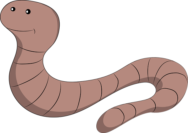 worms