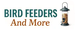 Bird Feeders and More