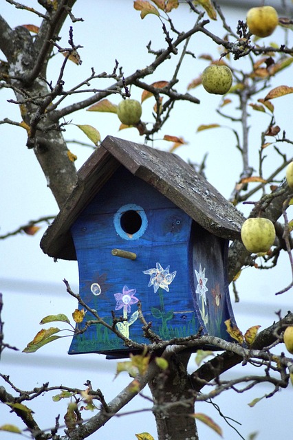 Save Big on Bird Feeders: Bulk Peanuts from Guardian Leeds