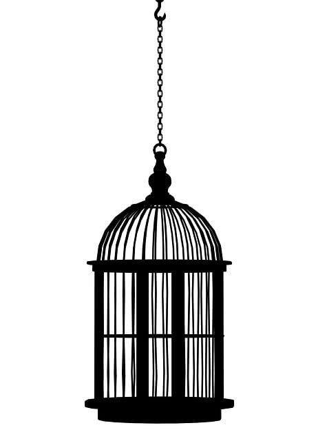 Birds feeding inside squirrel-proof cage